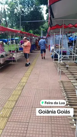 Filhotes Disponíveis link na Bio ☺️ ☺️  #cofap #teckel #dachshund #salsichinha #Arlequim #azuis #azul #link #loop 