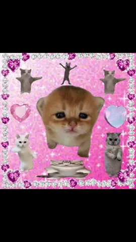 I’m so lucky lucky! #catsoftiktok #sillycat #cattok #catmeme #mecore #sillycats #brainrot #cat #corecore 