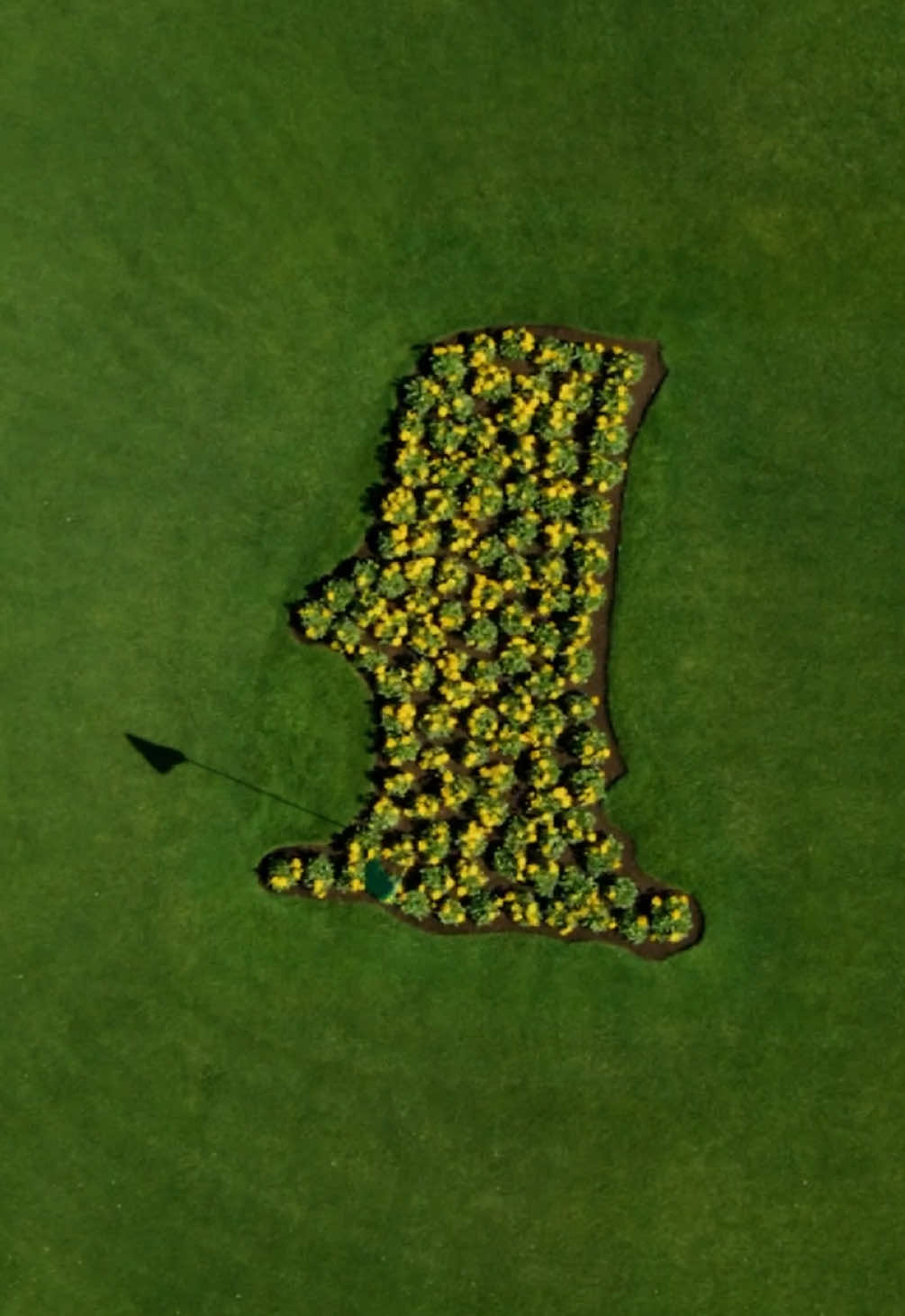 An action-packed day. #TheMasters #golf #movingday #action 