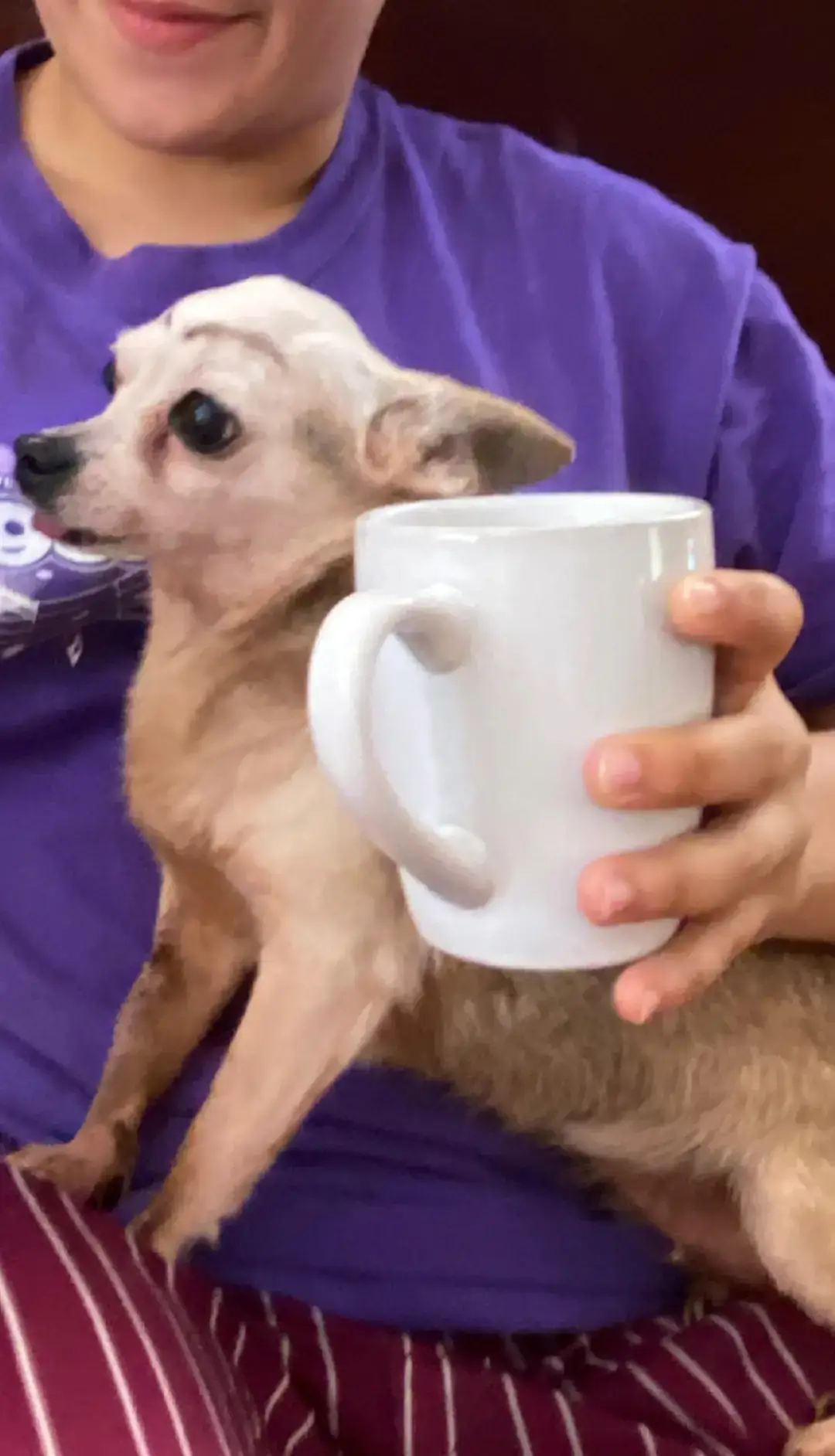 🥰😍🥰😍🥰🥰🥰😍🥰🥰🥰😍🥰😍🥰🥰#rubbyperez #rubbyperez💃🕺 #shorts 