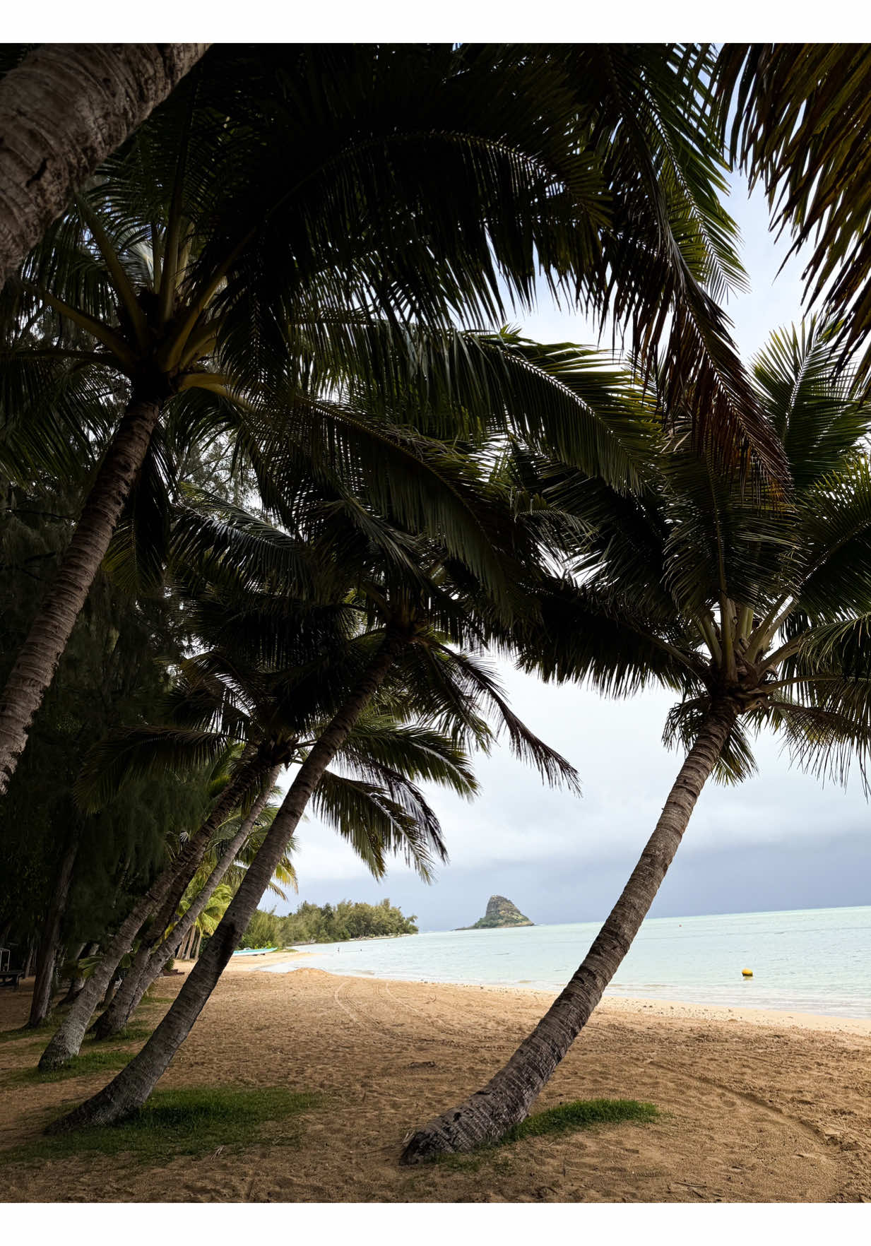 #hawaii#travel#life#nature 