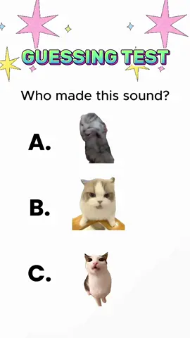 How did you get right?😼 #cat #cats #catsoftiktok #funnycatsoftiktok #funnycats #catsmeme #test #guess 