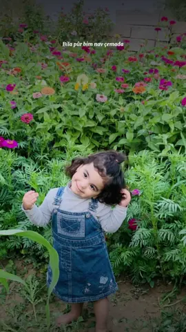 #CapCut #الحمدلله_دائماً_وابداً🥺🤲🏻 #bardarash_duhok_kurdistan_iraq #fypシ゚viral #viral #ئەکتیڤ_سفڕە_یەک_تۆز_ئەکتیڤ_بن_دڵەکان😻💔 