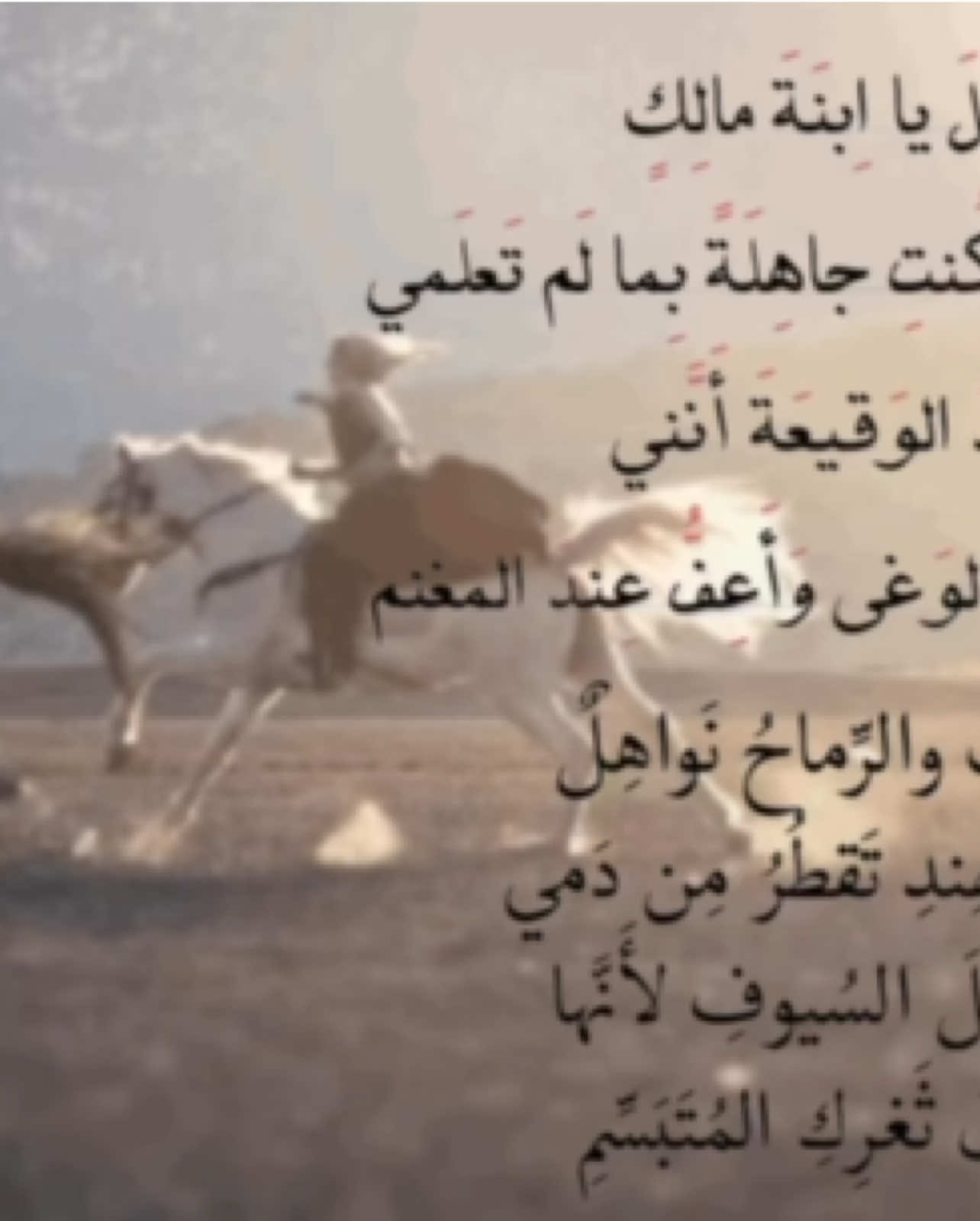 معلّقة عنترة قصيدة فخريّة بطابع غَزَلي🤍     #عنترة_بن_شداد #فصحى #شعر #قصائد #اكسبلور #explore #foryou #fyp 
