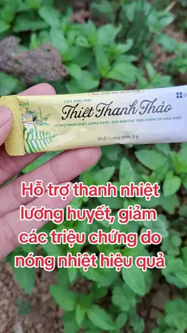 sản phẩm cửa sổ vàng. giúp htro giảm sốt, nóng nhiệt an toàn, hiệu quả. #cuasovang #thaoduoc #xuhuong #hangmoive #thinhhanh #viral #thietthanhthao #tranding 