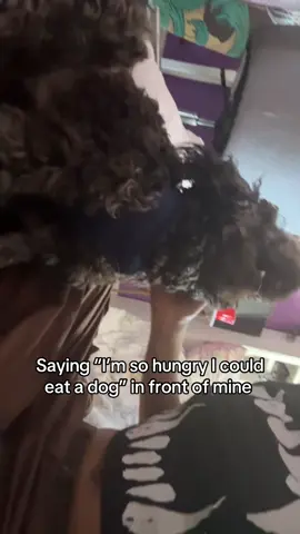 THOUSAND YARD STARE 😭💔 #fyp #dogsoftiktok 