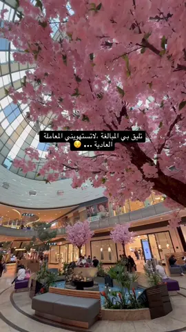 تليق بي المبالغة ،لاتستهويني المعاملة العادية  #نفسي #اشكر_هواك_اللي_غمرني_اهتمامه🤍 #تصويري📸 #augsburg #CapCut 