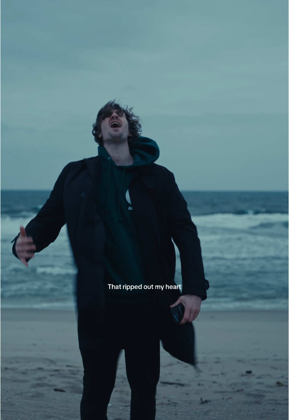 Replying to @Ines Carvalho booktok ty for adopting my song!!!! so many of you are also connecting it to violet from onyx storm who I’ve dedicated the song too 🌹 #BookTok #xadenandviolet #onyxstorm #fourthwing #fearless 