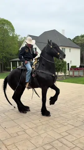 Arre Cuaco 🤩        #vaquero #caballosbailadores #horse #caballos #palacios #fyp #fresian 
