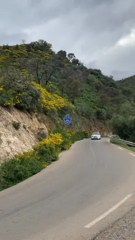 #pourtoi #pov #perte #paratii #makeup #motivation #tik_tok #tiktokviral #tiktok_india #yourpage #video #VoiceEffects #videoviral #viral_video #bdtiktokofficial #anime #algeria #vairal #you #ibiza 