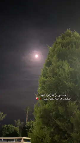 فيها خير🥀❤️‍🩹#fyb 