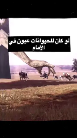 اشكالهم تخوف😭#برشلونه #viscabarsayviscacataluña #lamineyamal #paucubarsi #pedrigonzalez #ليفاندوفسكي #msn #messi #suariz #neymar #برشلونيه💙♥️ #viscabarca🔵🔴 