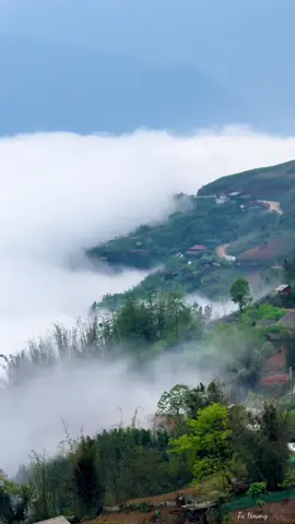 Kuv tseem Yuav Nyob tog Koj #tusiab 