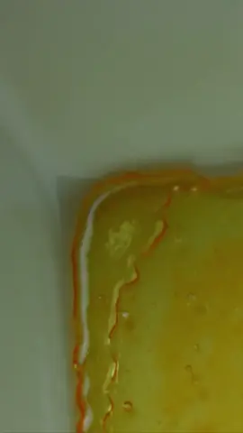 ¿Sabías que hay un postre chileno que se llama… macho ruso? Suena curioso, pero guarda más de dos siglos de historia. Cremoso, dulce, y profundamente patrimonial, este tesoro del norte chico es orgullo de Ovalle y la Regiónes de Coquimbo y Atacama. #MachoRuso #LaSerena #regiondecoquimbo  #DulcePatrimonial  #Ovalle  #RegiónDeAtacama  #CocinaChilena  #PostresChilenos  #GastronomíaConHistoria  #SaboresDeChile  #PatrimonioDulce  #CulturaYComida  #CocinaTradicional  #HistoriaQueSeCome  #MazamorraChilena  #RecetasDeAbuelas  #CocinaColonial  #HerenciaGastronómica  #ChileSabe  #RiquezaCulinaria  #PostresConAlma  #DulceDeTradición 