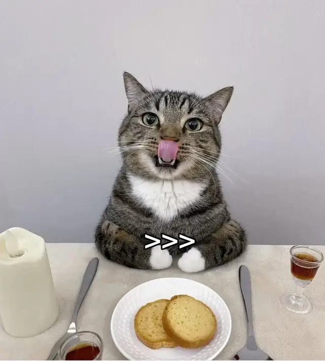 #fyp #cosplayer #girl #photo #best #cute #sexy #hot #cat 