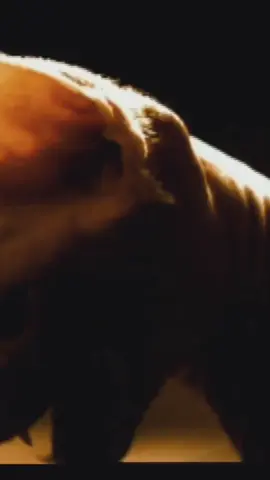 Megadeth - Kill The King