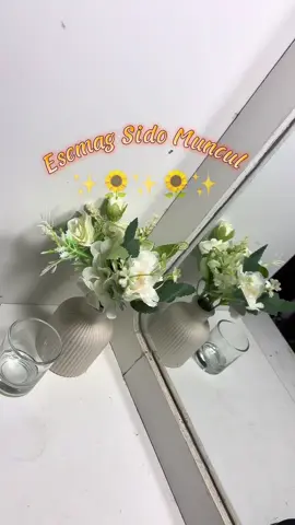 Esemag sido muncul berasal dari bahan herbal ya teman jadi aman untuk digunakan setiap hari🫶🏻 #esemag#lambung#murahnikmatlezat @