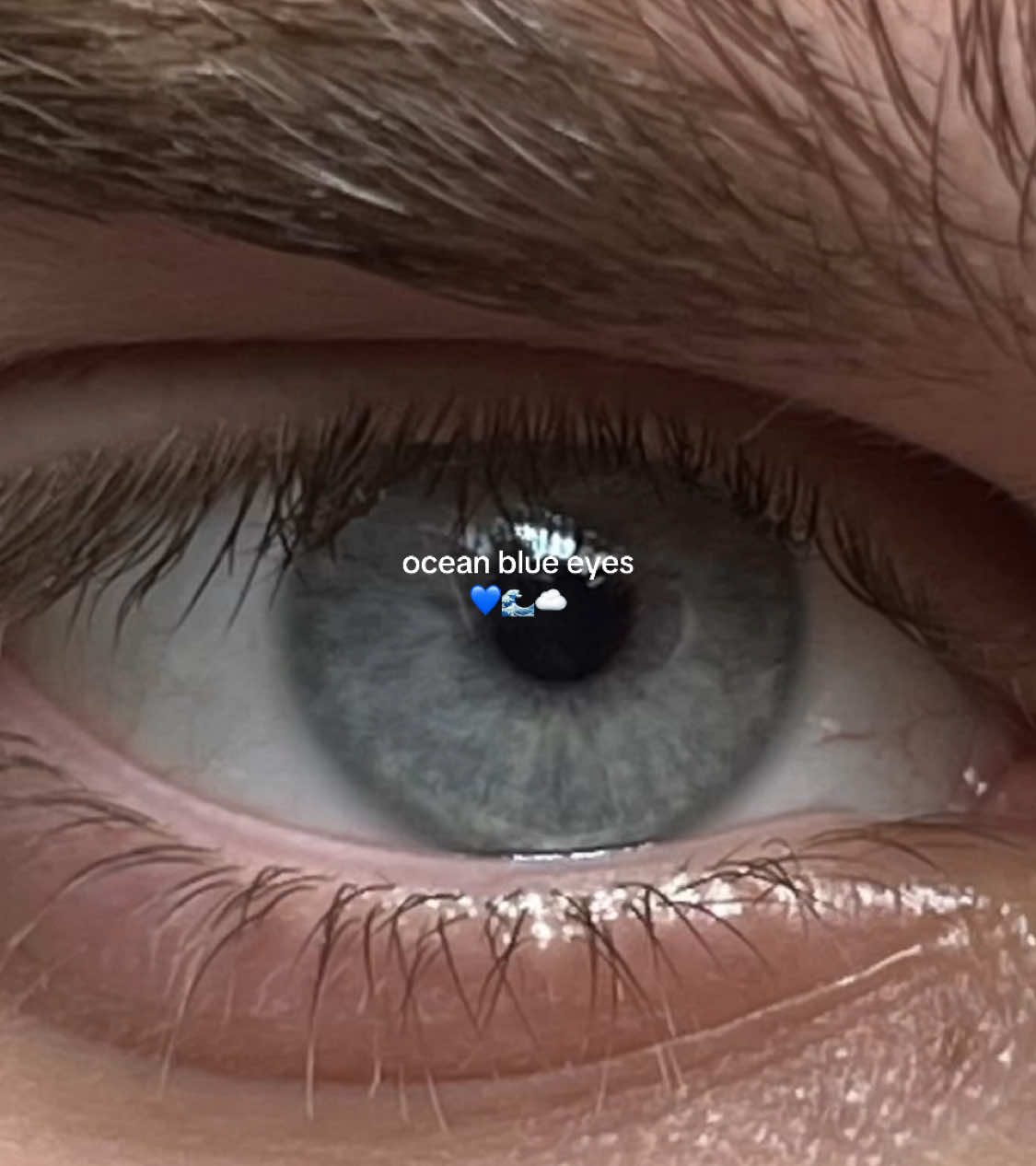 #fy #foryou #viral #foryoupage #fyp #vaiprofycaramba #ocean #oceanblueeyes #gorgeus #blueeyes #blonde #eyes #taylorsversion #taylorswift