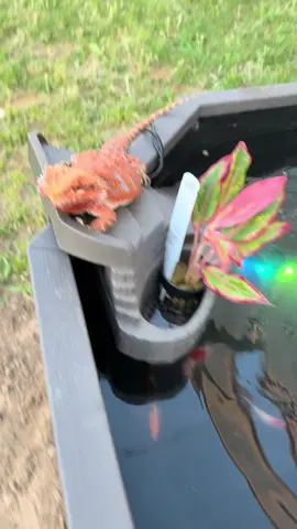 I’m so at peace 🙇🏻‍♀️