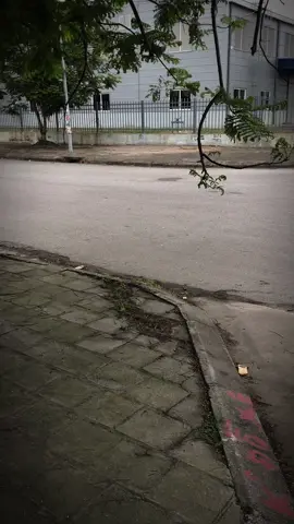 Nay cây cô đơn ai gặp con này hú cái nhé 😆#suhuongtiktok #đặngvănthuận #wawe 