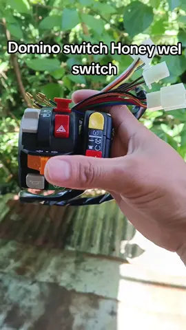 Domino switch Honey wel switch na papasok sa mga budget natin mga boss#fyopppppppppppppppppppp 