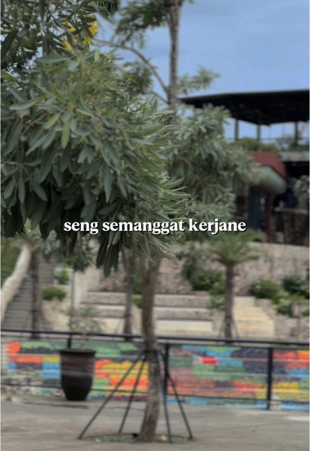 #CapCut Tapi sugihmu akeh sing ngenteni #dsldr 