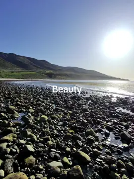 Plotting the next trip  #fy #fyp #yap #content #relatable #satire #jokes #troll #pov #metaglasses #metaglass #meta 