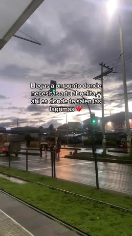 #parari#abuelita# Mi otra madre, la q me crió 💔