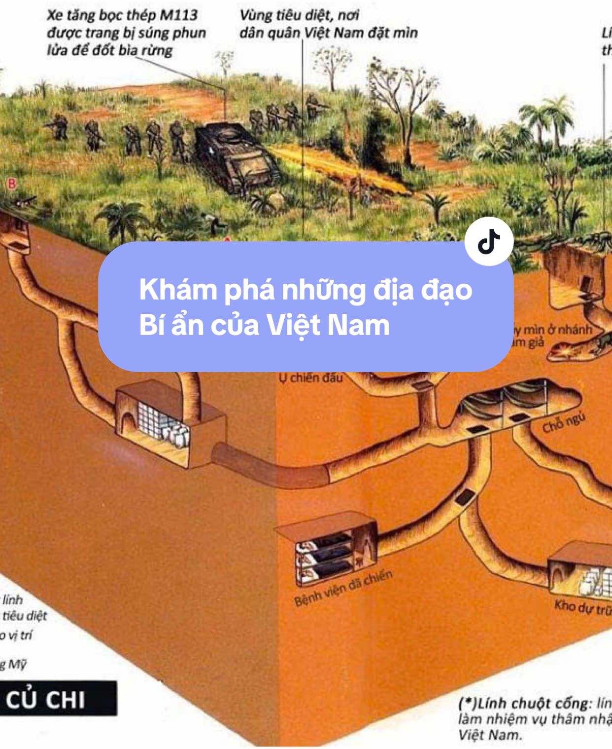 Bạn có tin… dưới lòng đất một huyện nhỏ ở Đồng Nai lại tồn tại một ‘thành phố ngầm’ dài gấp đôi cầu Thủ Thiêm, nối liền ba xã, vượt rừng băng sông… chỉ được đào bằng tay trần? Không phải chuyện viễn tưởng. Đó là Địa đạo Nhơn Trạch – hệ thống hầm ngầm dài hơn 10km, sâu tới 6 mét, rộng chỉ vừa đủ hai người bò qua, được ví như mạch máu của một cơ thể chiến đấu dưới lòng đất. Đáng kinh ngạc hơn… để hoàn thành hệ thống ấy, quân và dân ta chỉ mất chưa đầy 3 tháng, dùng chính tay mình đào từng mét đất – không máy móc, không la bàn! Nơi đây không chỉ là hầm trú ẩn – mà là phòng họp, kho vũ khí, trạm y tế, cả một hệ thống tác chiến hoàn chỉnh. Nó nối liền ba xã Cát Lái – Long Thọ – Phú Hữu, xuyên rừng, băng sông – một kỳ tích chiến lược giữa thời chiến. Khi bom rơi, máy bay rít trên đầu, người dân nơi đây vẫn ngậm tăm đào đất trong đêm. Tay cầm cuốc, tay bồng con – họ biến bóng tối thành chiến hào. Mỗi mét hầm là một nhịp tim của đất mẹ. Địa đạo Nhơn Trạch – không chỉ là công trình… mà là một biểu tượng của trí tuệ, lòng gan dạ và tinh thần Việt Nam bất khuất. Lịch sử Việt không nằm trong sách… mà nằm ngay dưới lòng đất quê hương. Follow kênh để khám phá những câu chuyện Việt Nam khiến bạn nổi da gà nha! #xuhuong #Tinhtukhongtinhte #giaiphongmiennam #lichsuvietnam #lichsu #30thang4 #diadao #thongnhatdatnuoc #quangtri 