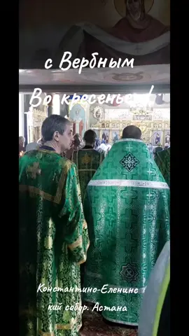 #вербноевоскресенье#