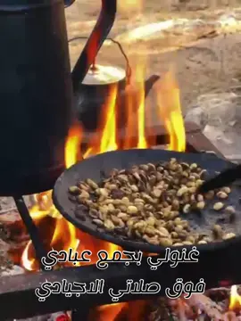 #المملكه_الاردنيه_الهاشميه🇯🇴 #اكسبلورexplore #هجيني #بني_عباد_305🦅🇯🇴 #شعب_الصيني_ماله_حل😂😂 