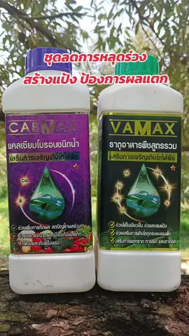 #วาแมกซ์ #ปุ๋ย #ปุ๋ยน้ํา #ปุ๋ยทางใบ #รีวิว #รีวิวของดีบอกต่อ #เกษตรสาวภูธร 