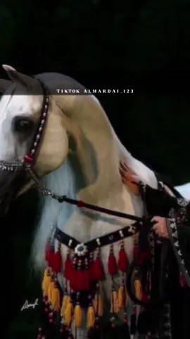 صباح_الخير #عبدالعزيز_العليوي_واحس