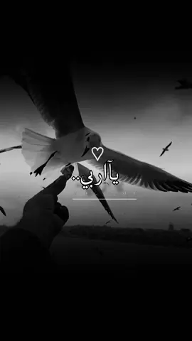 #يآاربي اللهم ابعد  من يتكلم عني بالسوء#musli #foryoupage #fyppppppppppppppppppppppp 