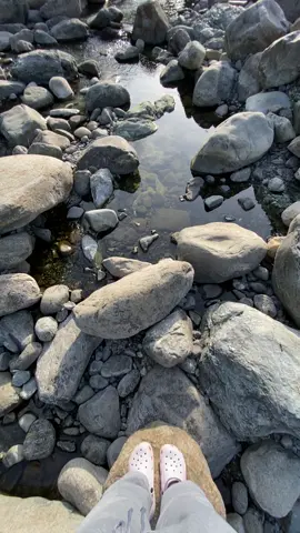 🍃