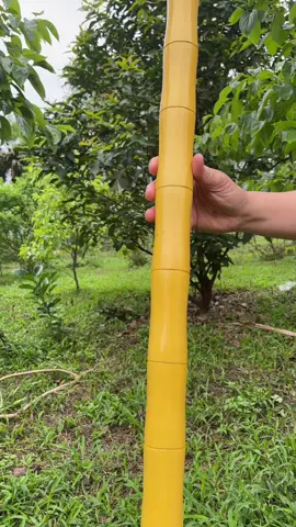 Trả lại cho em ngày tháng tươi đẹp 