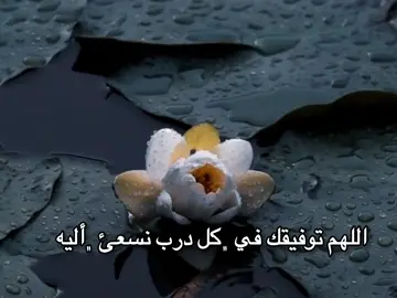 ﮼اللهم توفيقك في ﮼كل درب نسعئ ﮼أليه🕊️🤍.  #تصميم_فيديوهات🎶🎤🎬  #اللهم_صلي_على_نبينا_محمد  #صعدو_الفيديو  #اكسبلور  #viral  #fyp  #fypシ  #fypシ゚viral🖤tiktok  #صباح_الخير  #شعب_الصيني_ماله_حل😂😂 
