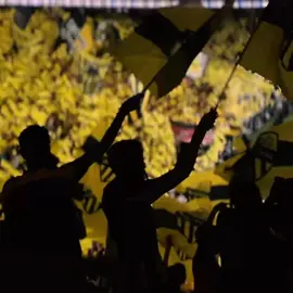 رؤية فريقهم يستحق بالنسبة لهم كل ذلك💛💛💛 #فارس_عوض #الاتحاد #ittihad #الكورفا_قولد #جمهور_الاتحاد  