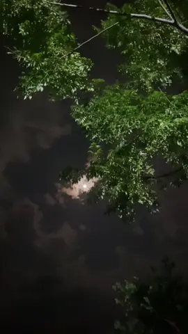 Our hearts don't need fixing. they need acceptance, that’s all.❤️‍🩹 #fyp #foryou #foryoupage #night #moon #view #fuadhasanarafat #withoutmusic #tiktok #bangladesh 