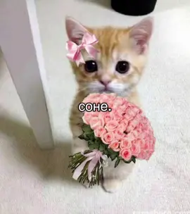 💐💐💐#соня #сонечка #люблютебя #ялюблюсонечку #любимка #рек #софочка #рекомендации #ялюблюсоню #я❤️соню #iloveyou #❤️ #весна #fyp #цветы #цветочки 