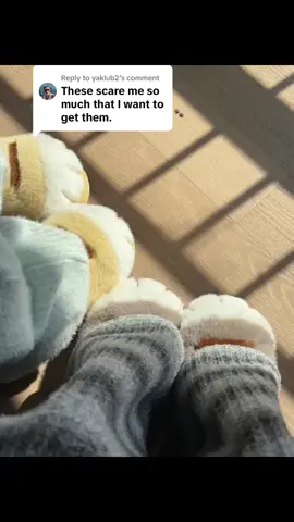 Replying to @yaklub2 😂😂😂 #catlover #catowner #slippers #paws #furry #catsoftiktok #catmom #catdad #cattok 