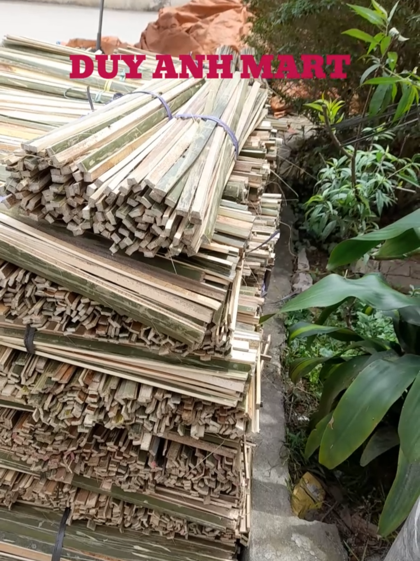 Thanh Tre, Que Tre Dẹt #quecắmhoa #quecắmthiệp #decor