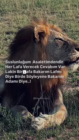 Her S!k! olan Kendini Adam Zanetmesin Sonunuz Mükereminden Beter Olur #🦁 