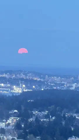 The full Pink Moon rising over downtown Victoria tonight—shot from high above on Bear Mountain in Langford. The city lights glowed beneath it, and for a moment, everything felt still. I’ve seen a lot of moons, but this one had something extra. Maybe it’s the spring air. Maybe it’s just the view. #PinkMoon #FullMoonRise #BearMountainViews #VictoriaBC #LangfordBC #VanIsleSky #VancouverIslandNights #DougClementPhotography