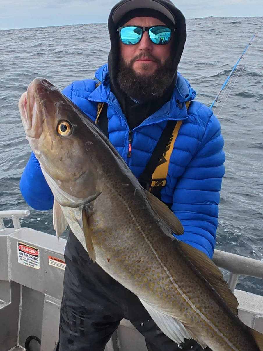 Just the best fishing I've ever experienced, fish every drop for days 🤣🇳🇴. Some great fun to be had. #theshorehunter #seafishing #fishing #seafishing #surfcasting #codfishing #boatfishing #norway #arctic #lurefishing #shadfishing #perking #halibutfishing #cod 