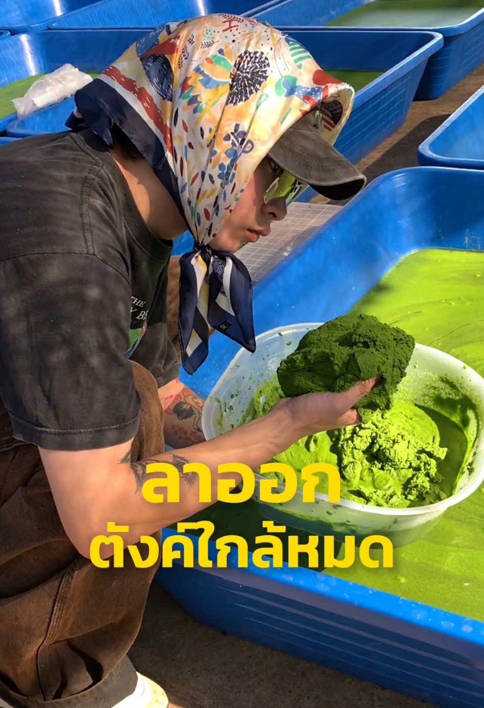 เอาชีวิตรอด Ep.20 #ลาออก #ลาออกจากงานประจํา #วัยรุ่นสร้างตัว #เกษตรกร #ไข่ผํา #ฟีดดดシ #วัยรุ่นทําสวน #ลาออกมาเลี้ยงไข่ผำ #เตอร์ป่าตอง 