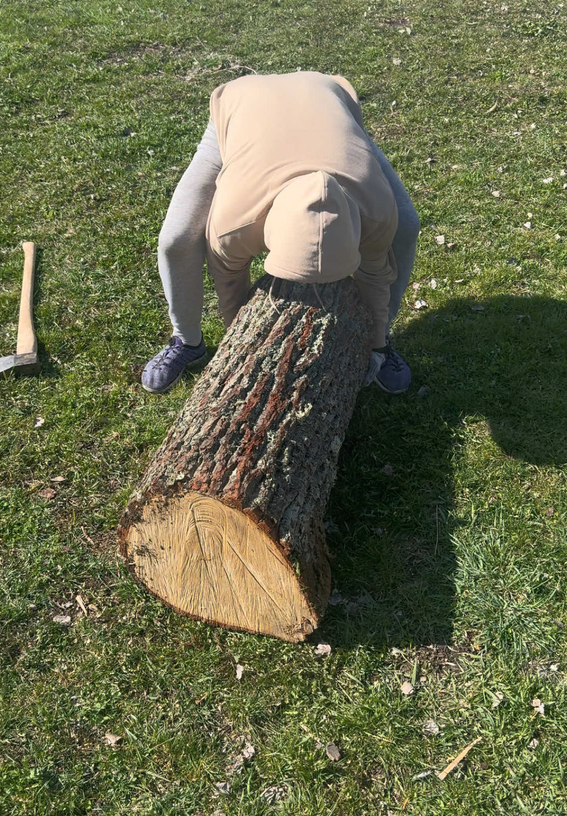 chopping a large oak log🪓#rek #axe ##firewood #logs #oak #woodworking 