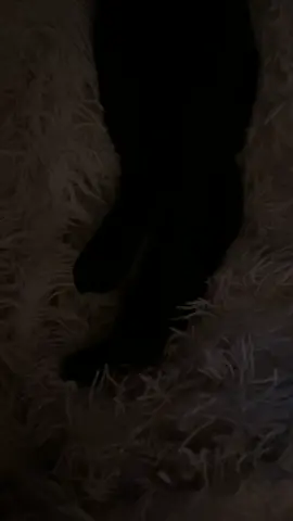 👹
