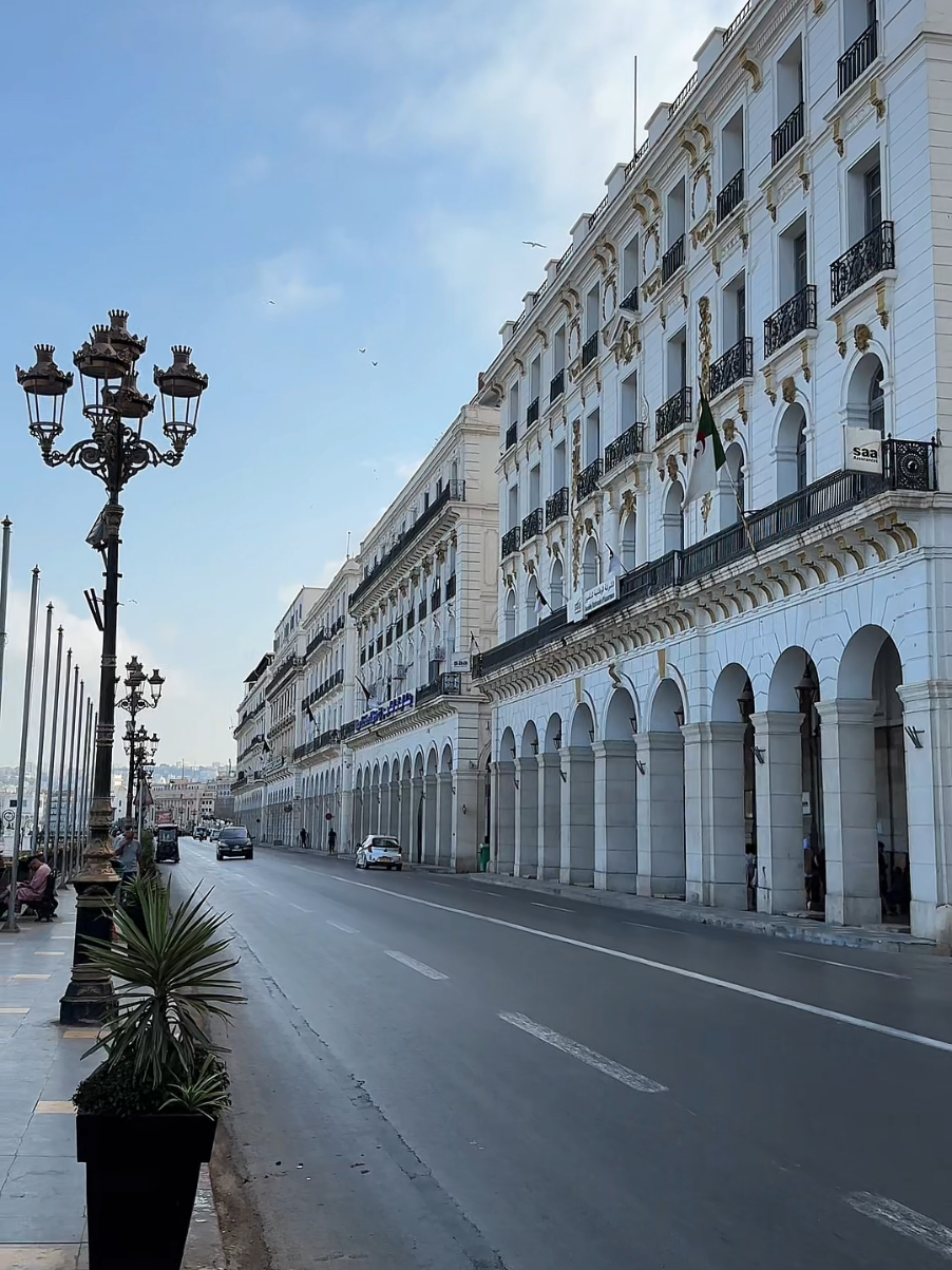 🇩🇿🇩🇿🇩🇿