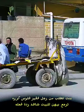 بنت تطلب من رجل فقير فلوس كروه#تجربه_اجتماعيه#قاسم_وليد💯  